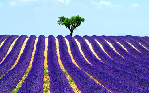 958007 (a): :1920x1200